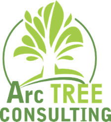Arc Tree, Inc.